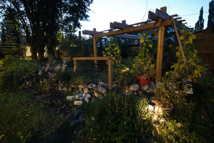 garden photography tips 49 750px jpg