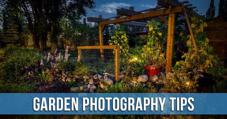 15 Creative Garden Photography Ideas Made Simple