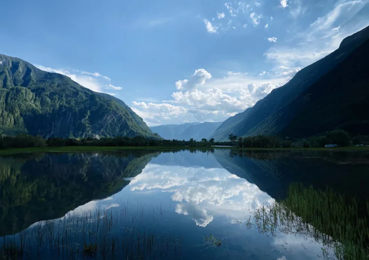 Photoshop Generative AI result alexey murzin T8 Y9IwPFxE unsplash 1